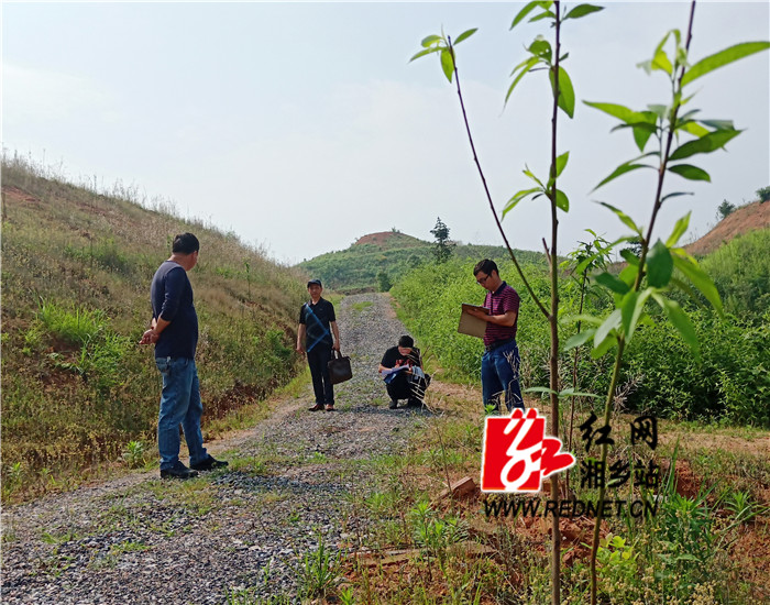 林业局:以“四责四诺”“五联五问”全面推进造林验收工作