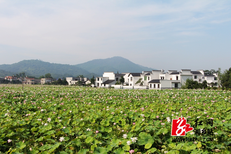 暑假去哪儿:“别有洞天”的东郊现代农业示范园